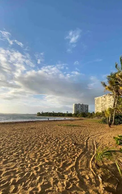 Daire Lovely 2 Bedroom Condo 2Min Walking To The Beach Luquillo